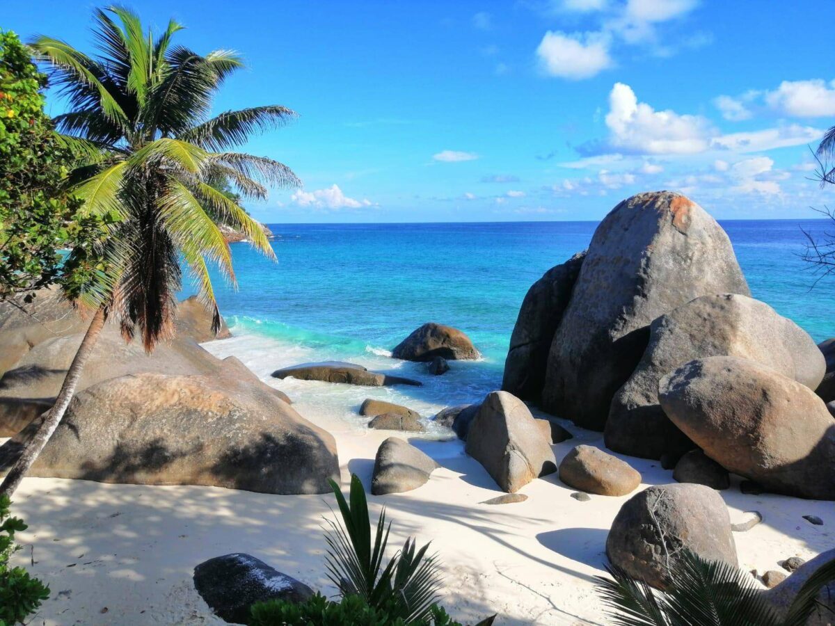 Wide sandy beach on Mahé with calm turquoise sea, palm trees and forested granite hills in the background