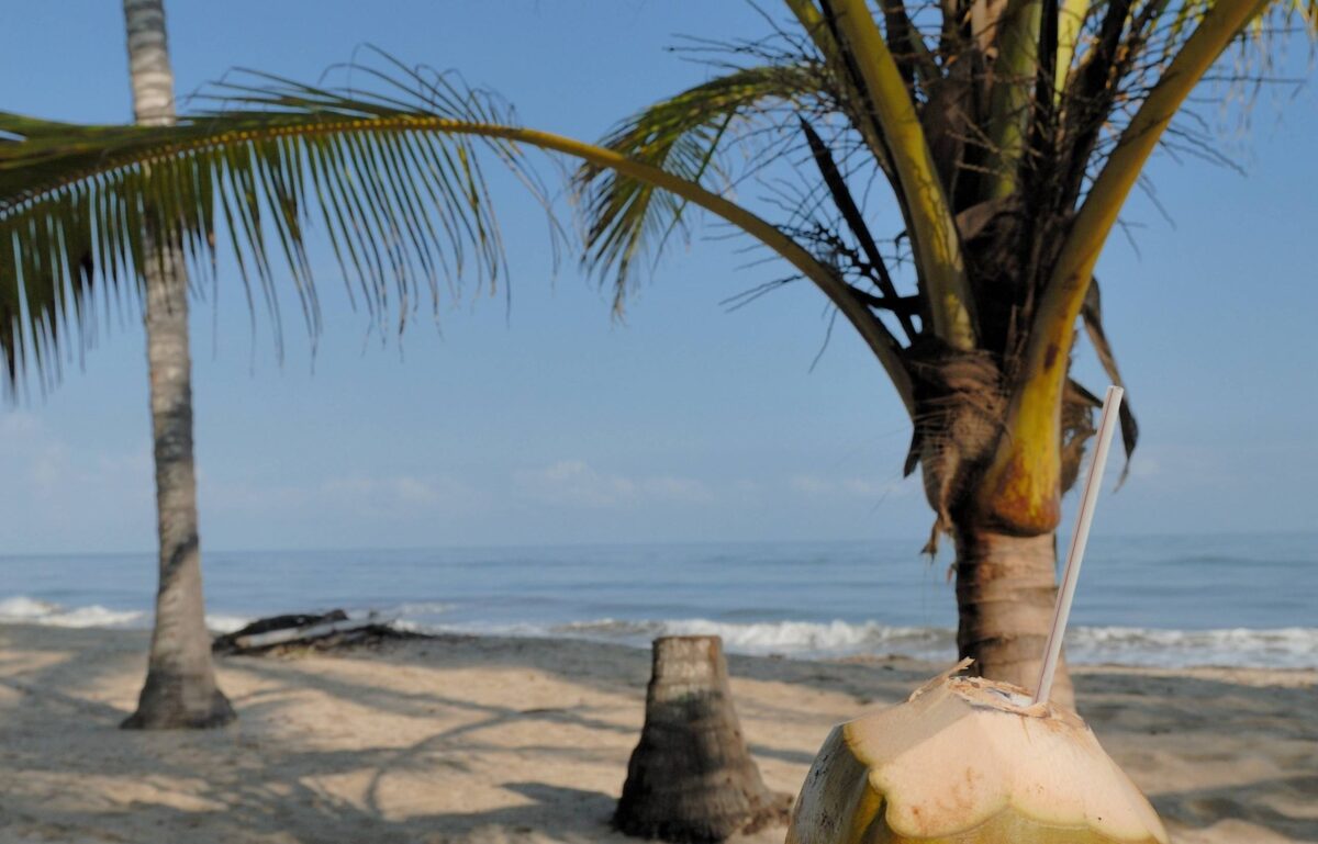 Women in La Boquilla crafting jewelry and accessories from coconut shells at a beachfront workshop