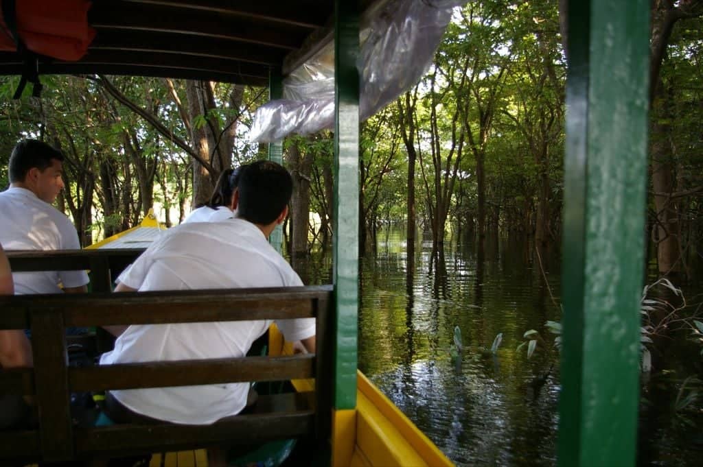 Wooden Amazon lodge on stilts surrounded by dense tropical forest and river