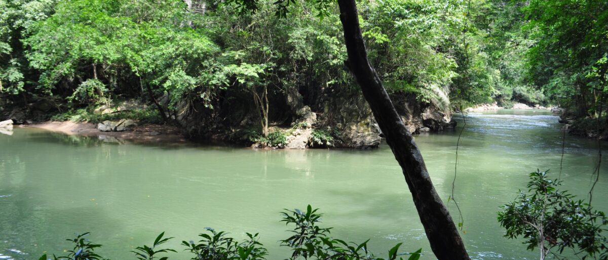 Wooden eco-lodge balconies overlooking the clear turquoise waters and rainforest of Río Claro