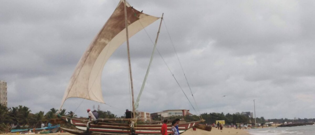 Wooden fishing boats lined up on the sandy beach at Negombo, Sri Lanka, with palm trees and gentle waves at sunset