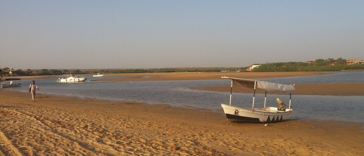 Wooden walkway and ecological trail along Somone lagoon with mangroves and birds in Senegal